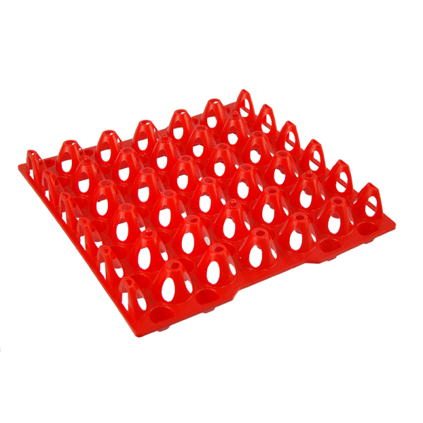 Egg Tray Extra Large